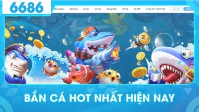 6686Bet đem lại cảm xúc khó diễn tả cho anh em bet thủ